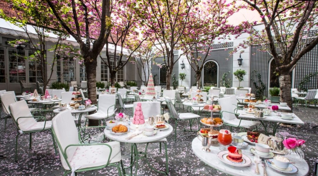 laduree_newyork_manhattangirl