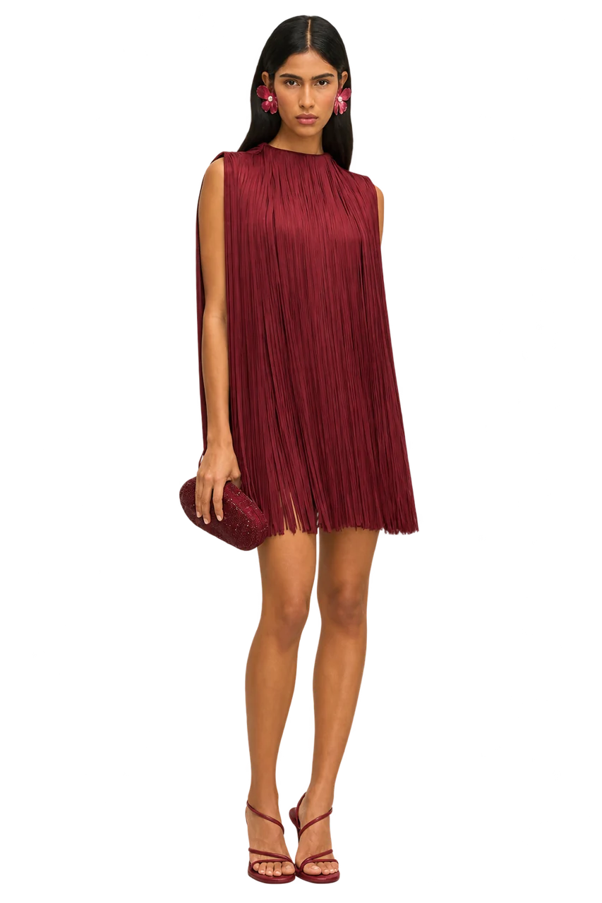 Monica Fringe Dress